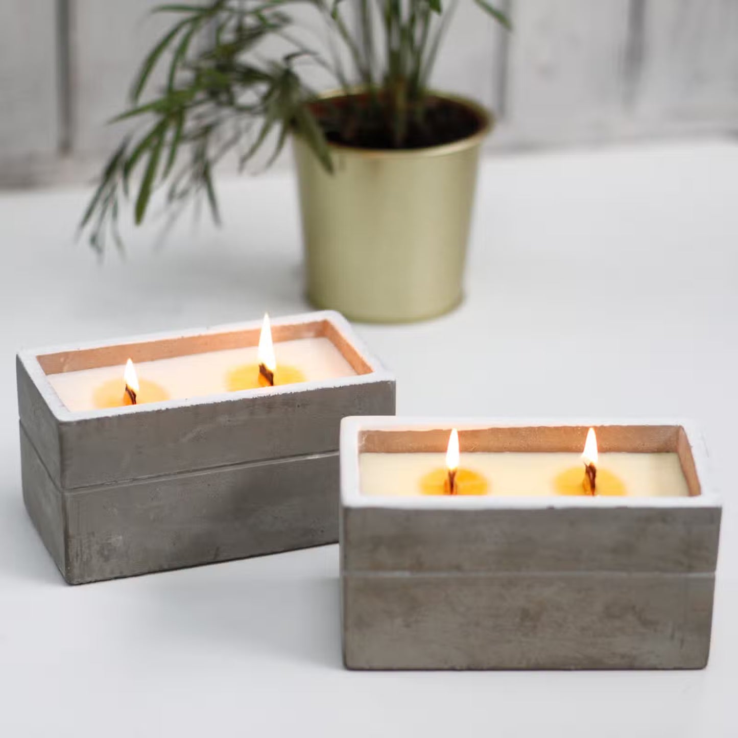 Two square concrete candles with flames on a white surface, with a potted plant in the background.