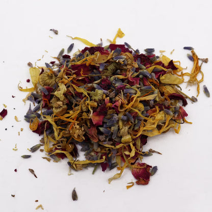 Pile of dried colorful flowers on a white background