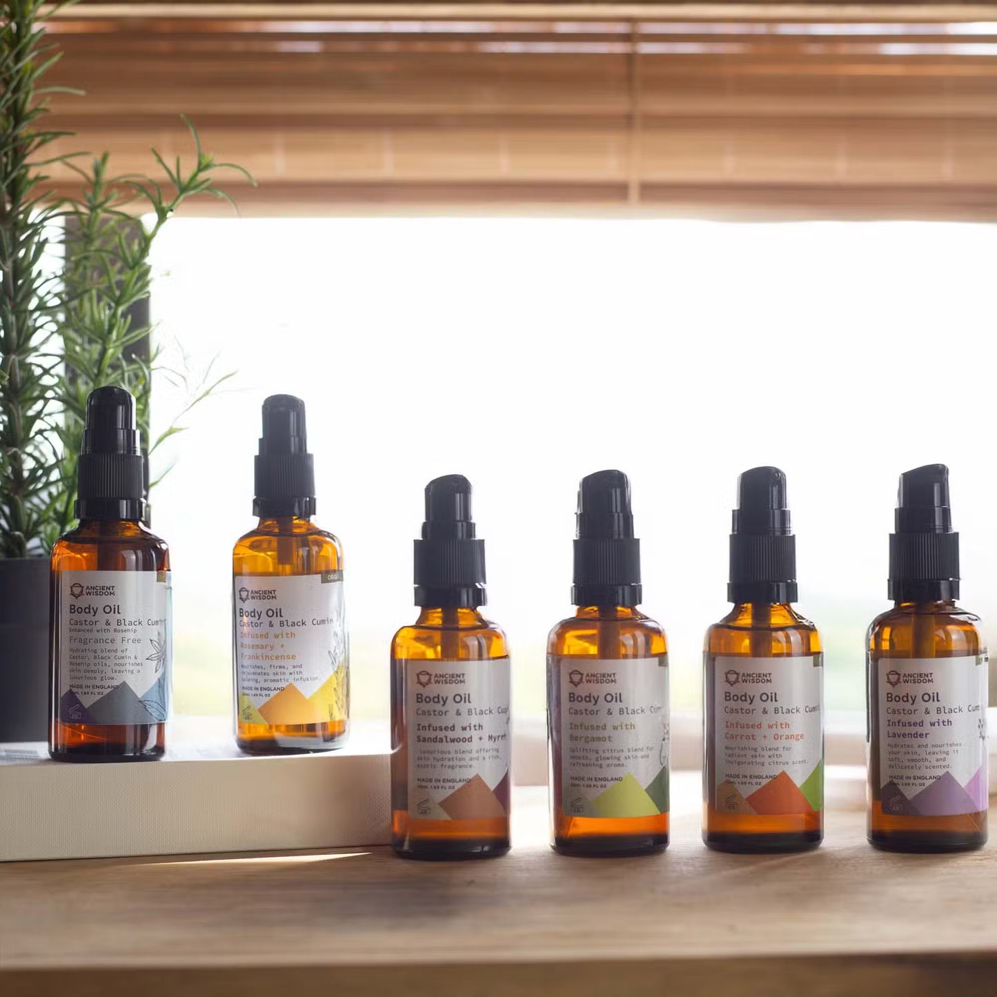 Row of six bottles of body oil on a wooden surface with a window and plant in the background.
