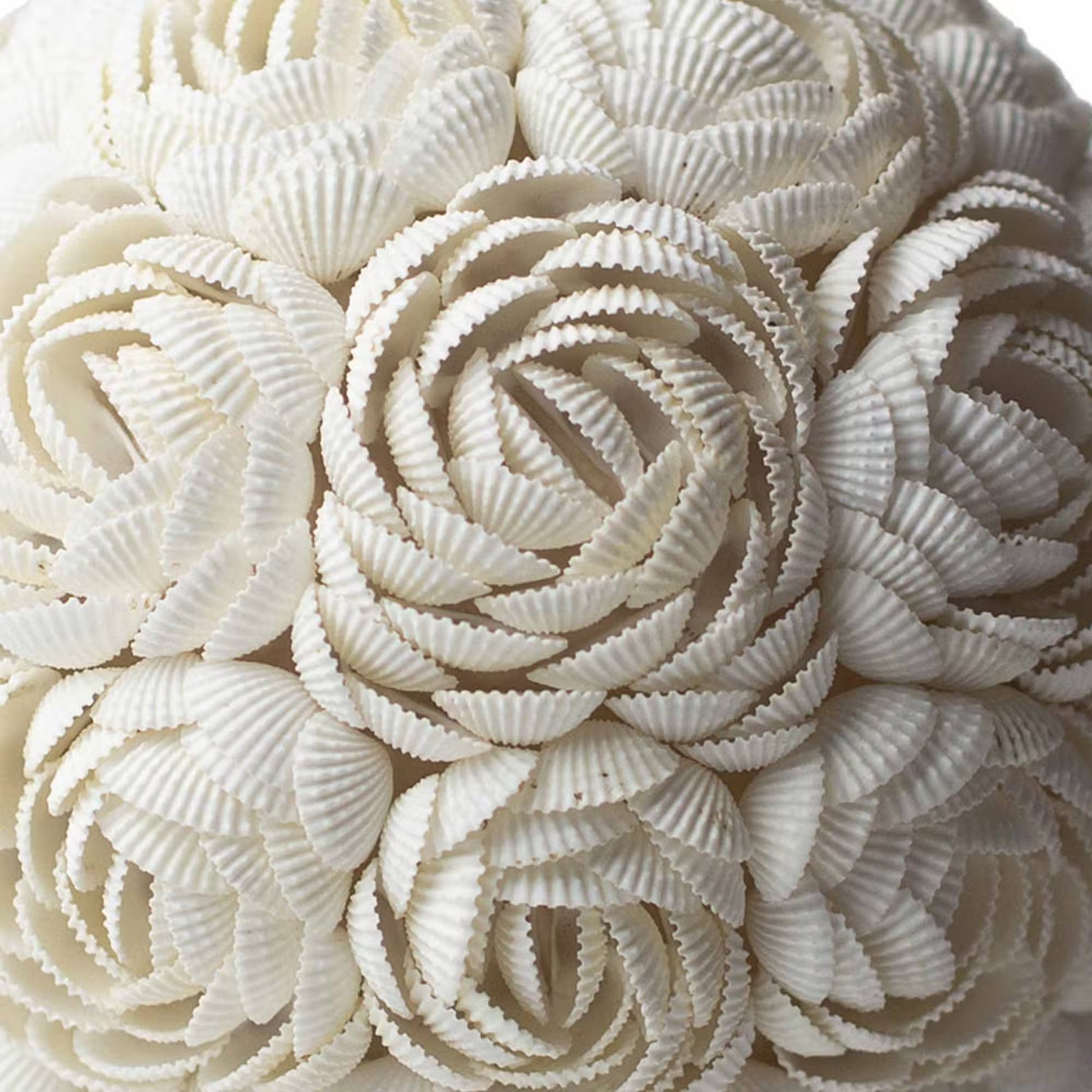 Close-up of white seashells arranged in a decorative pattern