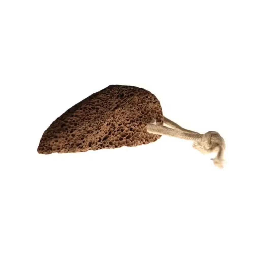 A natural brown porous sponge with a light beige string attached to one end, isolated on a white background.