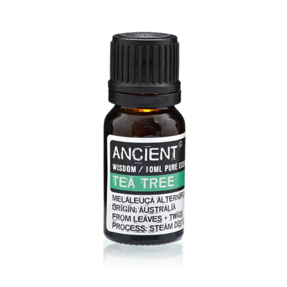 A 10ml amber glass bottle of Ancient Wisdom Tea Tree essential oil with a black ribbed cap and a black, white, and green label.