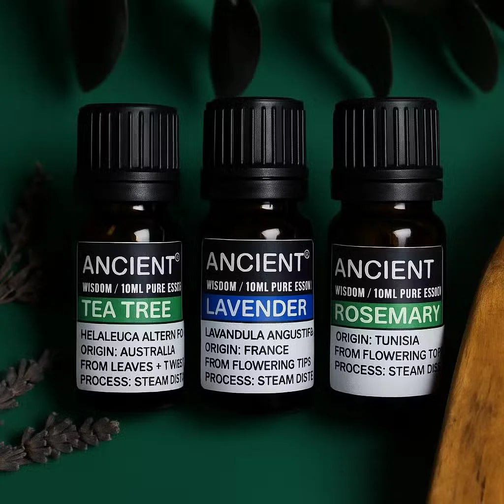 Three amber glass essential oil bottles with black ribbed caps from the brand ANCIENT, arranged side by side on a dark green background with leafy and wood props. The labels read Tea Tree, Lavender, and Rosemary.