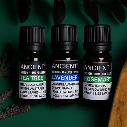 Three amber glass essential oil bottles with black ribbed caps from the brand ANCIENT, arranged side by side on a dark green background with leafy and wood props. The labels read Tea Tree, Lavender, and Rosemary.